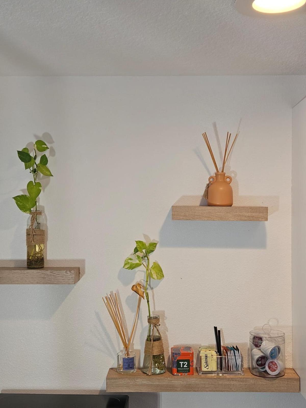Newly Renovated Modern Apartment Oviedo